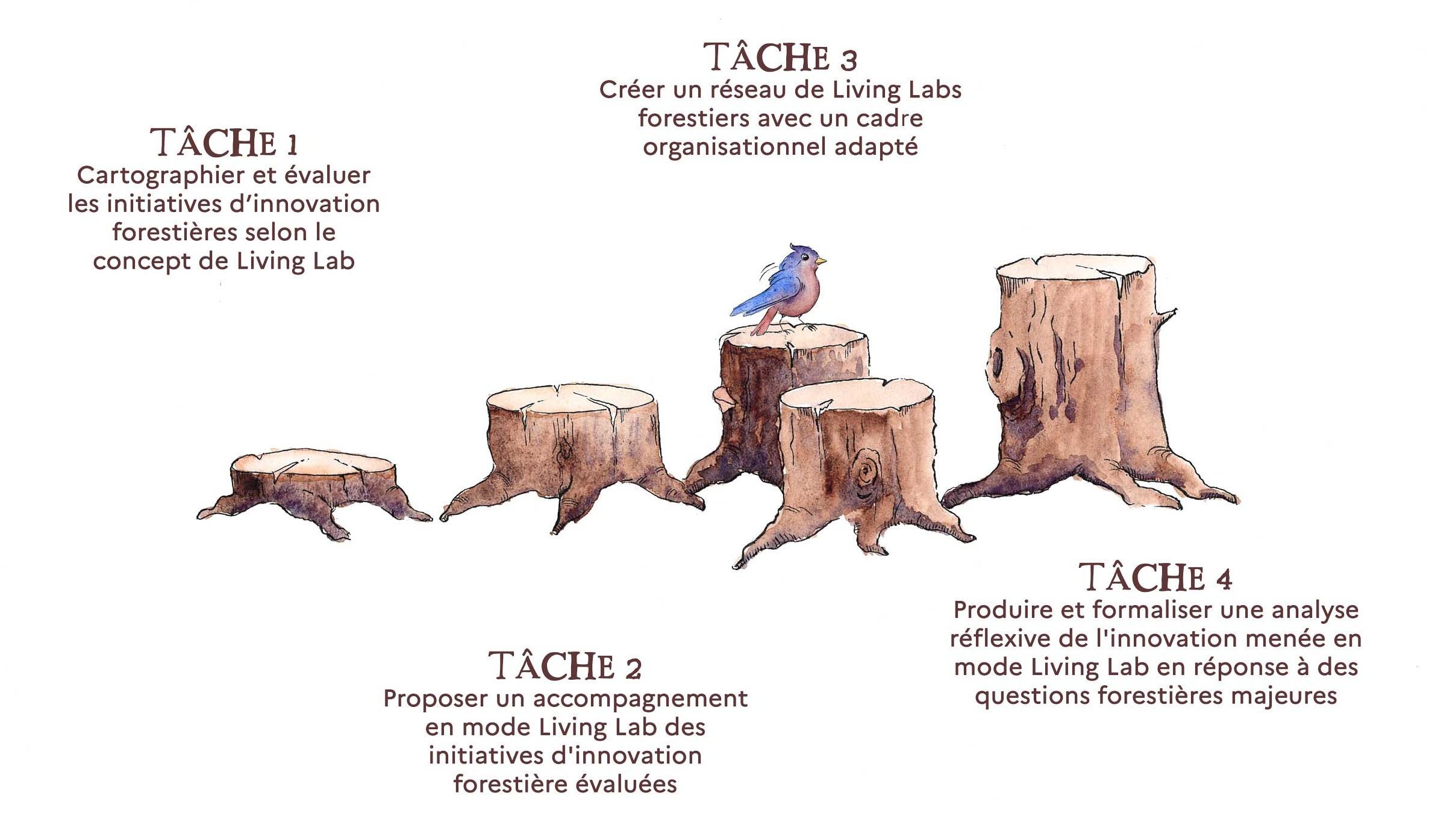 T&acirc;ches_living_lab_illustration