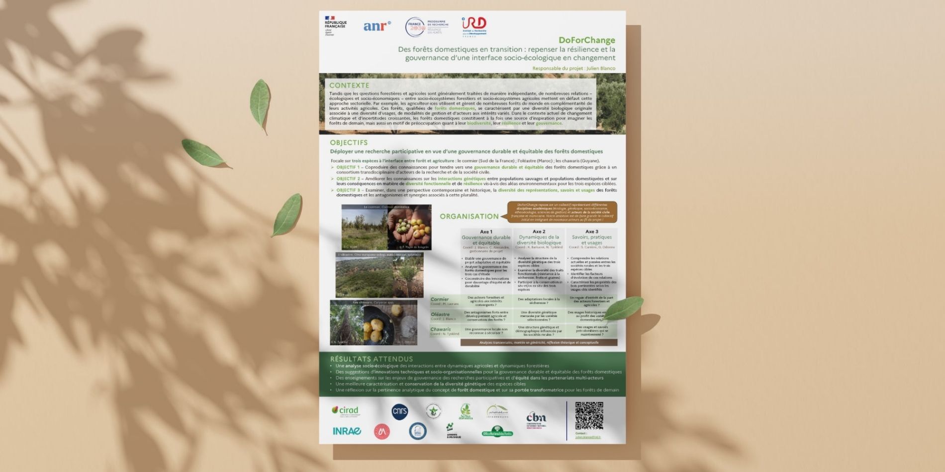 Poster DoForChange Poster DoForChange