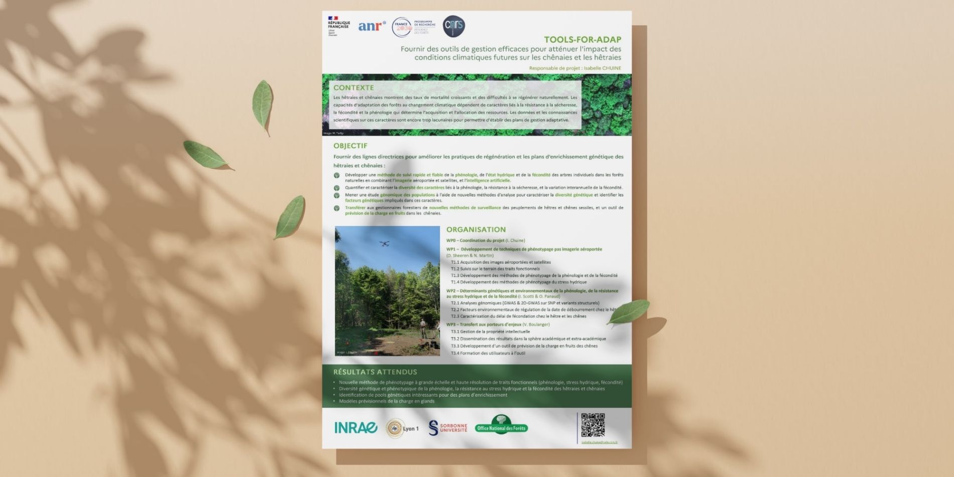 Poster TOOLS-FOR-ADAP