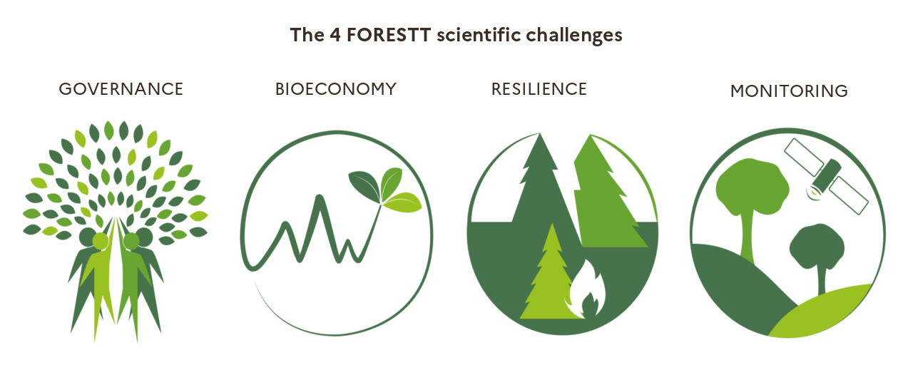 ENG_Forestt scientific challenges.png