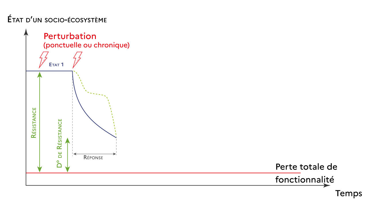 Graphique n&deg;3 R&eacute;silience