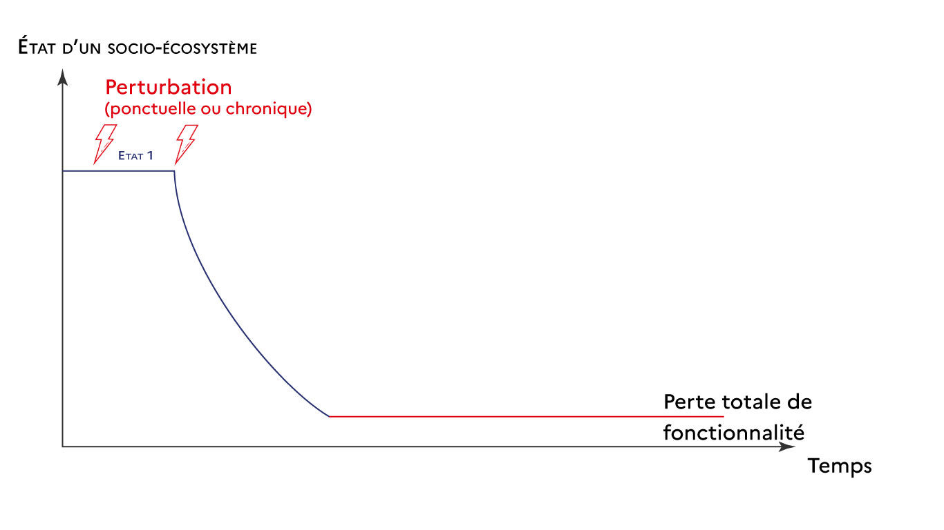 Graphique n&deg;6 R&eacute;silience
