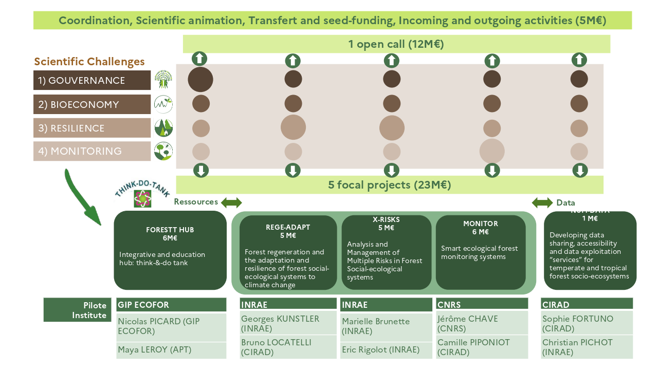 ENG_Architecture programme.png