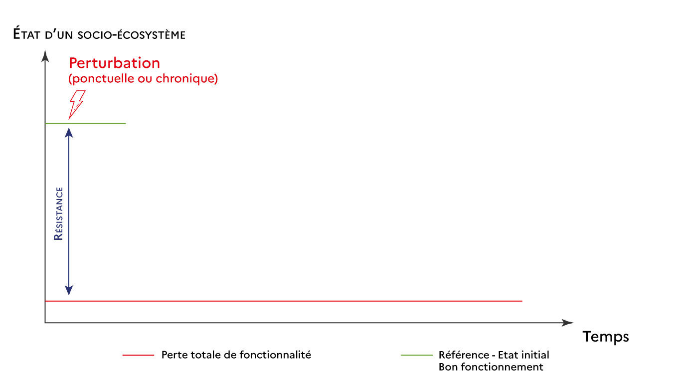 Graphique n&deg;2 R&eacute;silience