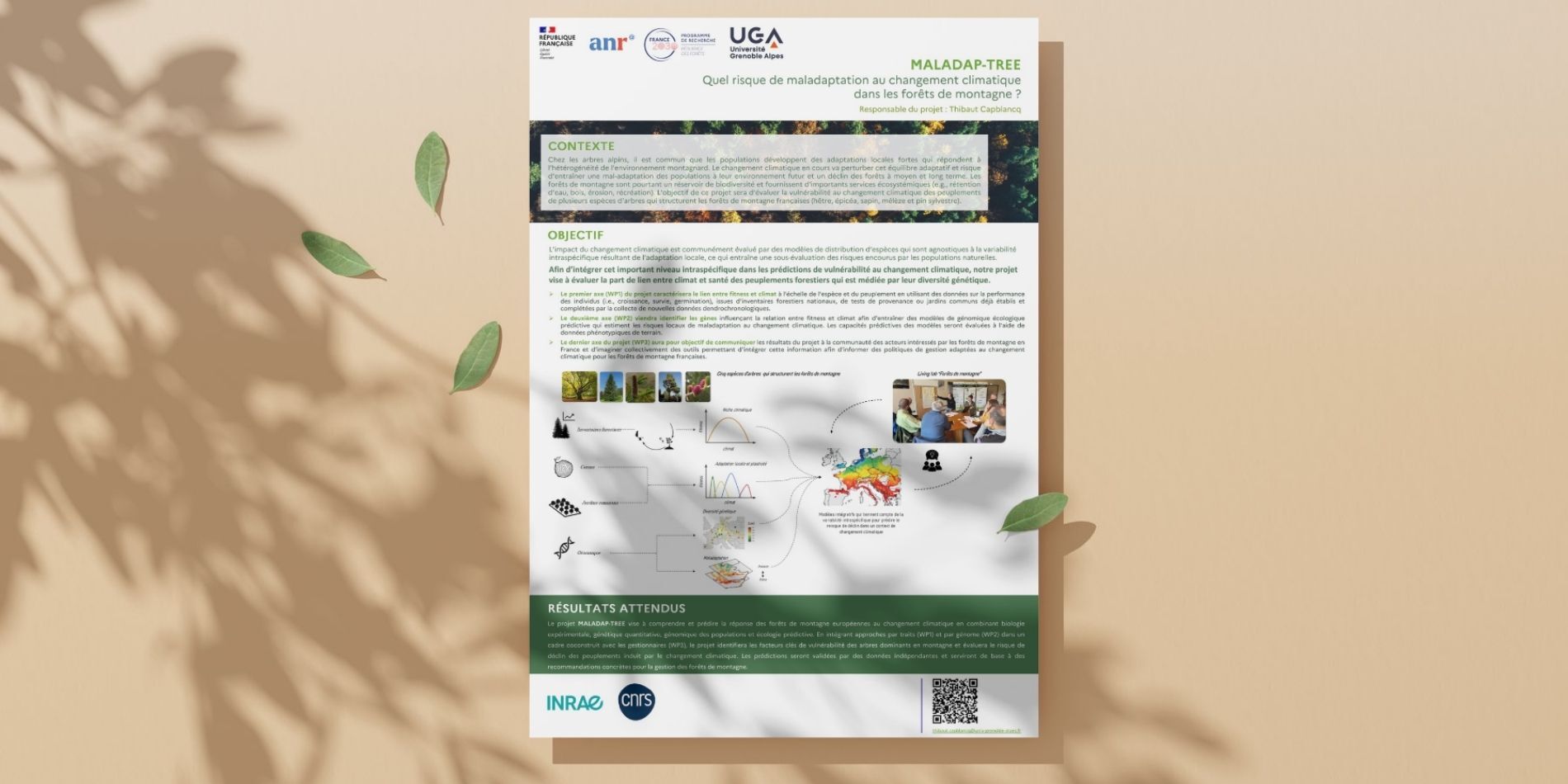 Poster MALADAPTREE Poster MALADAPTREE