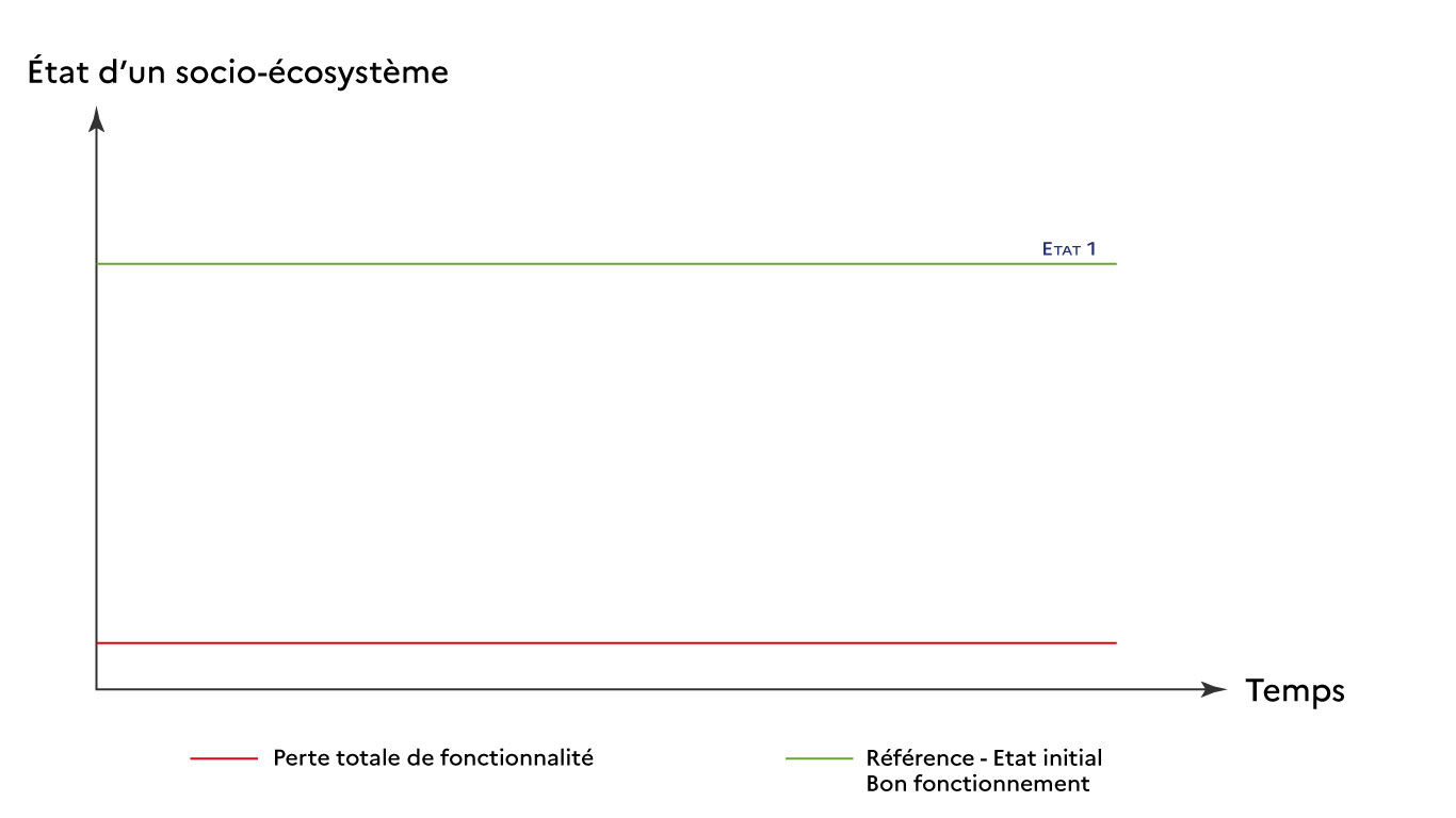 Graphique n&deg;1 R&eacute;silience