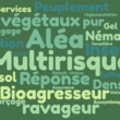 Nuage de mots_multirisque.png