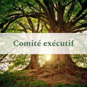 Comit&eacute; ex&eacute;cutif