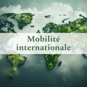 Mobilit&eacute; internationale