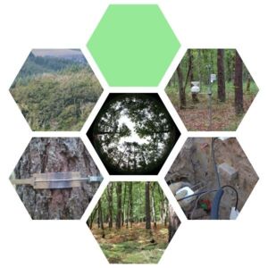 OPTMix &eacute;l&eacute;ment graphique