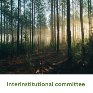 Interinstitutional comittee_ENG.png