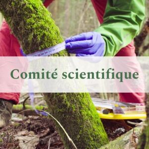 Comit&eacute; scientifique