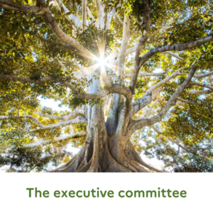 Executive_committee.png