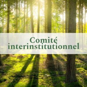 Comit&eacute; interinstitutionnel