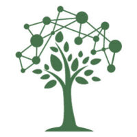 Arbre vert FORESTT Arbre vert FORESTT