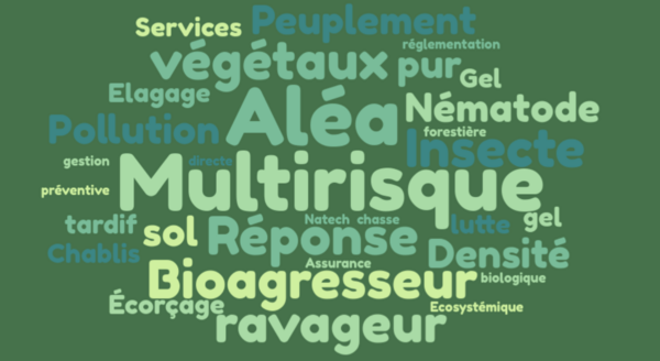 Nuage de mots_multirisque.png Nuage de mots_multirisque.png