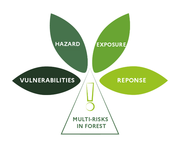 Figure X-RISKS_ENG 2603.png