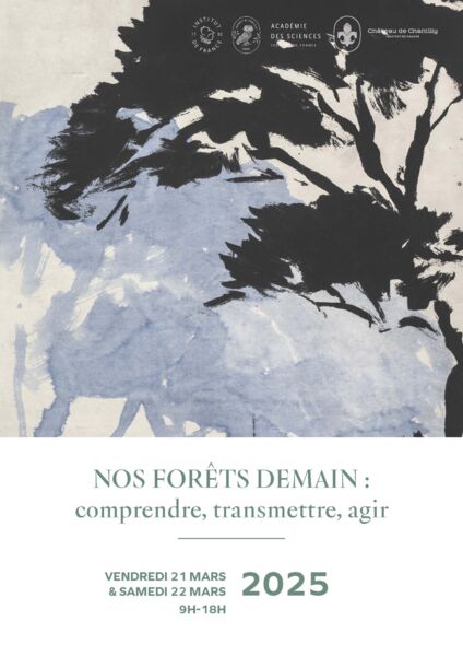 Affiche Colloque Nos Forêt Demain Affiche Colloque Nos Forêt Demain
